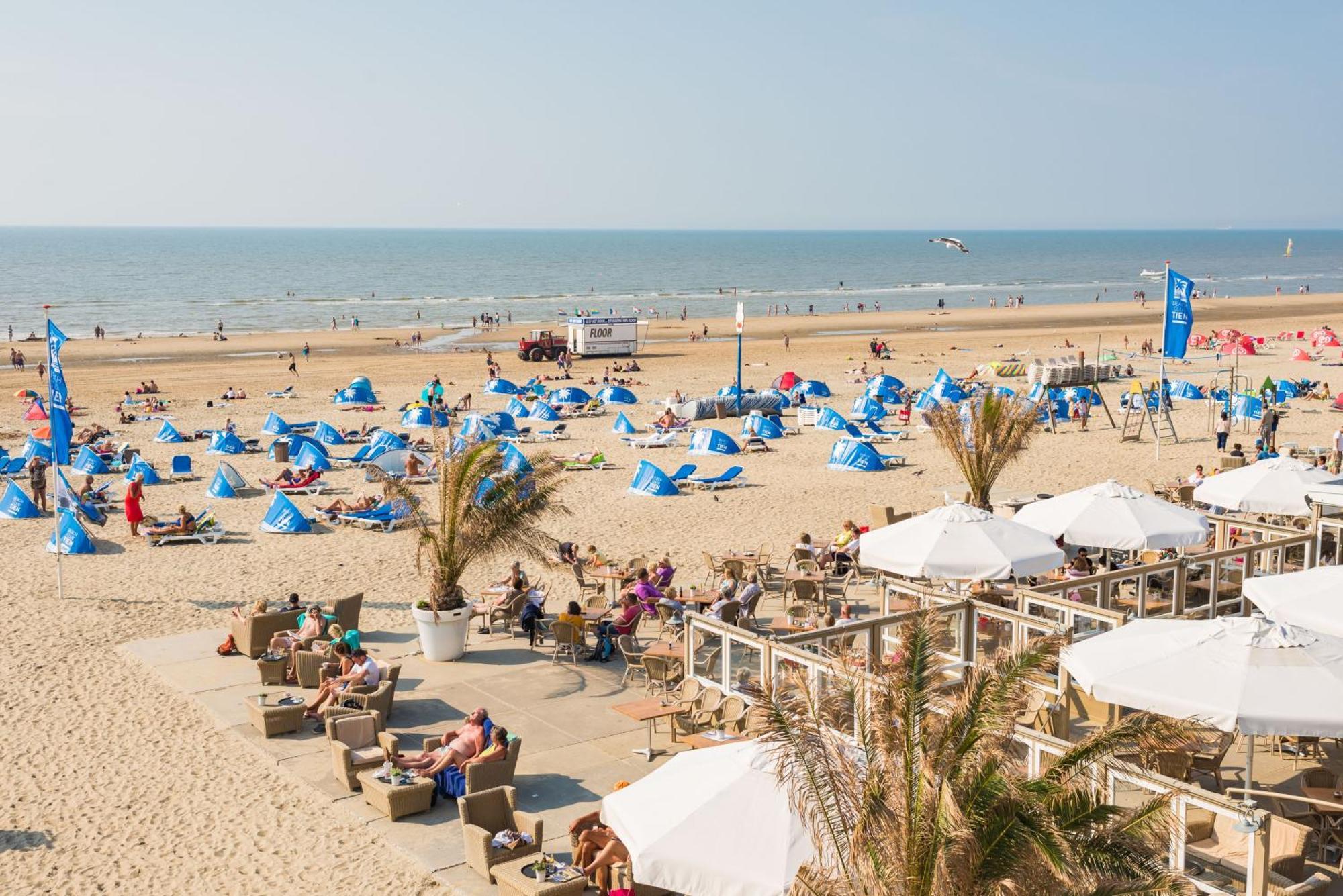 Albatros Aan Zee - Apartment Zandvoort Extérieur photo